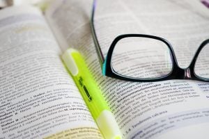 essay writing rules